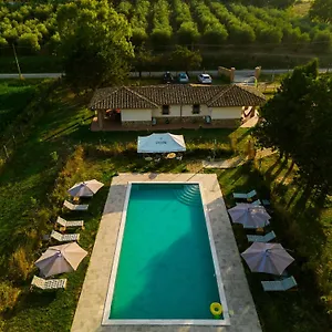  Apartment Anfora Della Italy